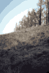 Sinaia, Creasta Baiului, Azuga