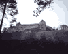 Rasnov, Cetarea Rasnovului