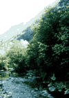 Valea Cernei