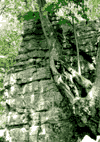 Valea Cernei