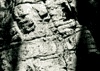 Valea Cernei