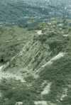 Piatra Verde