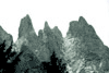 Valea Morarului