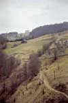 Cluj, Doda Pili, Cab. Padis