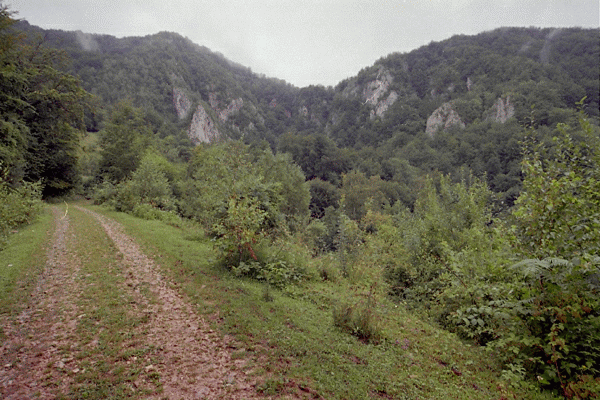 Zona Ciclovina
