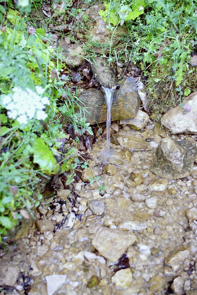 Zona Ciclovina