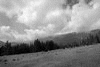 piatra craiului, poze alb negru