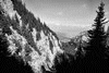 piatra craiului, poze alb negru