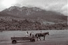 piatra craiului, poze alb negru
