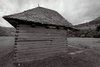 piatra craiului, poze alb negru