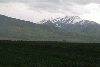 intalnirea alpinet 2004