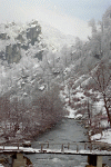 Cabana Voina, Valea Cuca, Cabana Cuca