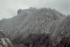 Cabana Voina, Valea Cuca, Cabana Cuca