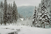 Cabana Voina, Valea Cuca, Cabana Cuca