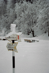 Cabana Voina, Valea Cuca, Cabana Cuca