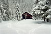 Cabana Voina, Valea Cuca, Cabana Cuca
