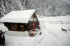 Cabana Voina, Valea Cuca, Cabana Cuca