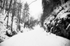 moeciu, cheile gradistei