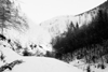 moeciu, cheile gradistei