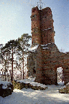 curtea de arges
