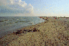 Delta Dunarii - Orasul Sulina - Plaja