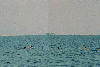 Delta Dunarii - Orasul Sulina - Plaja