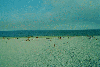 Delta Dunarii - Orasul Sulina - Plaja