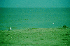 Delta Dunarii - Orasul Sulina - Plaja