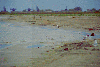 Delta Dunarii - Orasul Sulina - Plaja