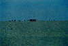 Delta Dunarii - Orasul Sulina - Plaja