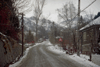 Rosia Montana