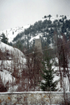 Rosia Montana