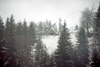 Rosia Montana