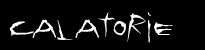 pagina de calatorie