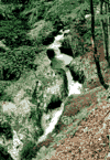 Focul Viu, Cheile Galbenei