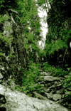 Focul Viu, Cheile Galbenei