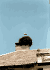 Zarnesti