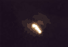 Luna din Ref. Costila