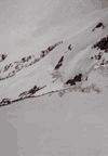 Valea Costilei