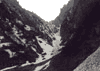 Valea Alba