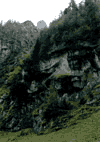 Valea Cerbului