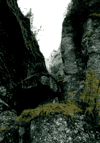 Valea Cerbului