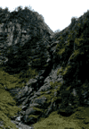 Valea Cerbului
