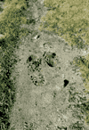 Vf. Omu, Doamnele, Padina, Pestera, Babele, Vf. Omu