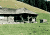 Vf. Omu, Doamnele, Padina, Pestera, Babele, Vf. Omu