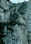 Vf. Omu, Doamnele, Padina, Pestera, Babele, Vf. Omu