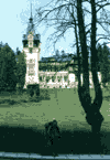 Sinaia, Castelul Peles