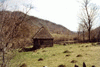 Vf. Penteleu
