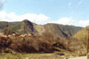 Vf. Penteleu