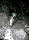 Valea Berii, Cab. Ciucas, Vf. Ciucas, Culmea Bratocea, Cheia